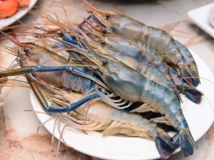 Now make a quick roast with prawns in monsoon afternoon, know the complete method